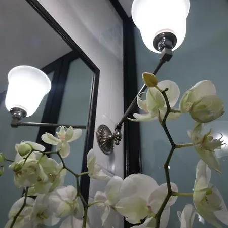 Luxury Vigna Apartment